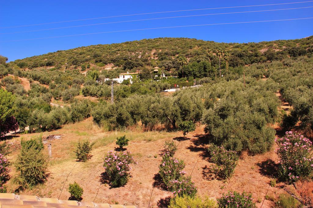 Hostal La Zamora Carcabuey Exteriér fotografie